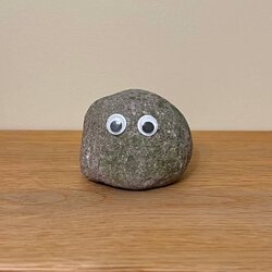 Rocky Qiymət Proqnozu