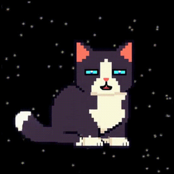 Spacecat