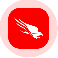 CrowdStrike Logo